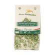 Risotto aux Asperges 250g